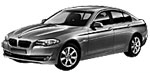 BMW F10 P0C1C Fault Code